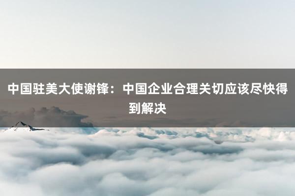 中国驻美大使谢锋：中国企业合理关切应该尽快得到解决