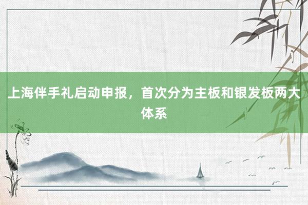 上海伴手礼启动申报，首次分为主板和银发板两大体系