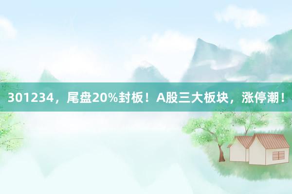 301234，尾盘20%封板！A股三大板块，涨停潮！