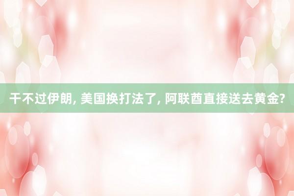 干不过伊朗, 美国换打法了, 阿联酋直接送去黄金?