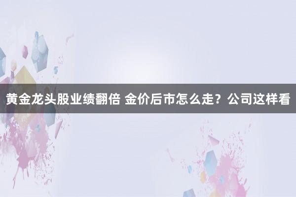 黄金龙头股业绩翻倍 金价后市怎么走？公司这样看