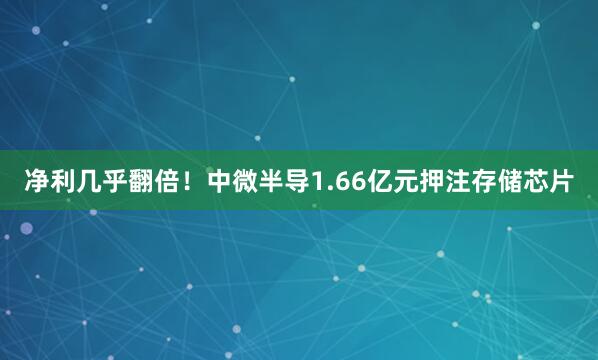 净利几乎翻倍!中微半导1.66亿元押注存储芯片