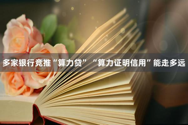 多家银行竞推“算力贷” “算力证明信用”能走多远