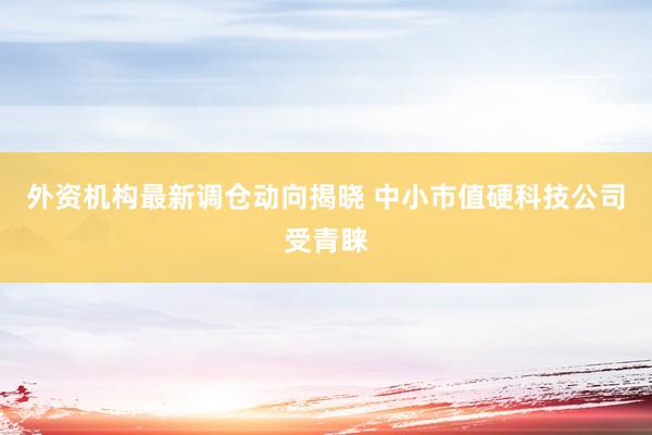 外资机构最新调仓动向揭晓 中小市值硬科技公司受青睐