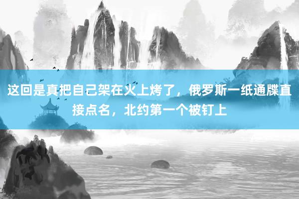 这回是真把自己架在火上烤了，俄罗斯一纸通牒直接点名，北约第一个被钉上