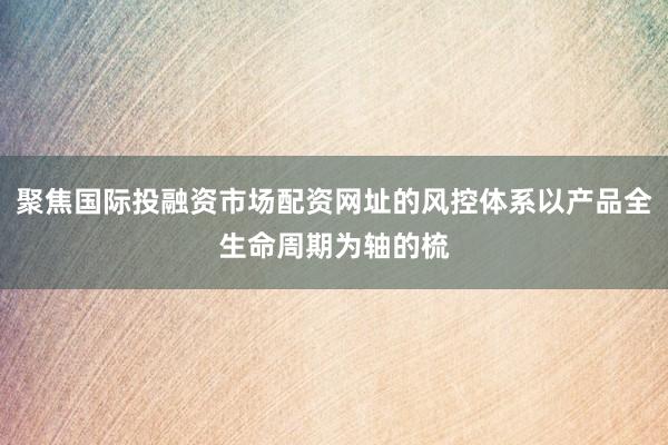 聚焦国际投融资市场配资网址的风控体系以产品全生命周期为轴的梳