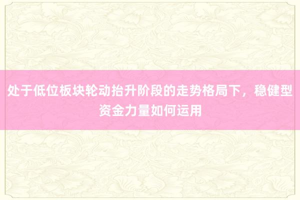 处于低位板块轮动抬升阶段的走势格局下，稳健型资金力量如何运用