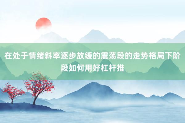 在处于情绪斜率逐步放缓的震荡段的走势格局下阶段如何用好杠杆推
