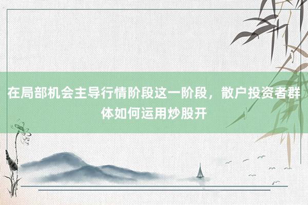 在局部机会主导行情阶段这一阶段，散户投资者群体如何运用炒股开