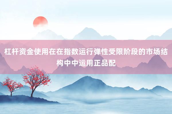 杠杆资金使用在在指数运行弹性受限阶段的市场结构中中运用正品配
