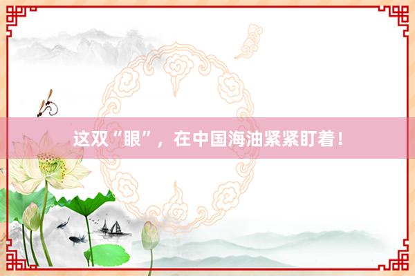 这双“眼”,在中国海油紧紧盯着!