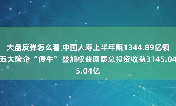 大盘反弹怎么看 中国人寿上半年赚1344.89亿领跑五大险企 “债牛” 叠加权益回暖总投资收益3145.04亿