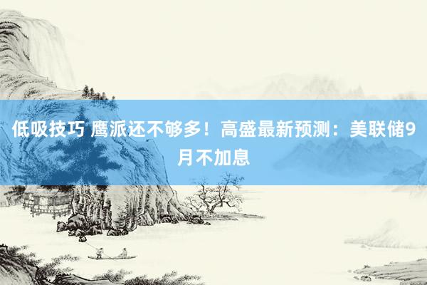 低吸技巧 鹰派还不够多！高盛最新预测：美联储9月不加息