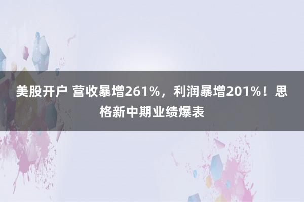 美股开户 营收暴增261%，利润暴增201%！思格新中期业绩爆表