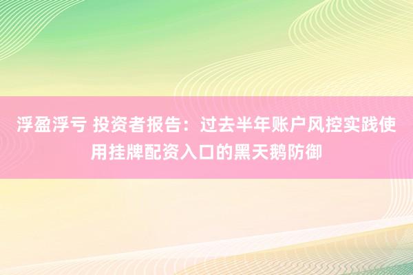浮盈浮亏 投资者报告：过去半年账户风控实践使用挂牌配资入口的黑天鹅防御