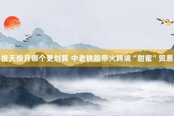 按天按月哪个更划算 中老铁路带火跨境“甜蜜”贸易