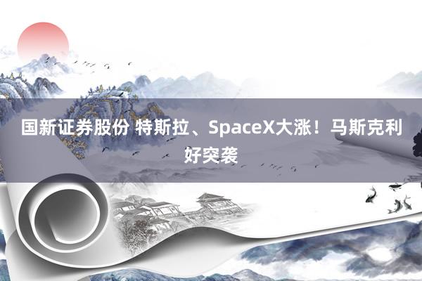 国新证券股份 特斯拉、SpaceX大涨!马斯克利好突袭