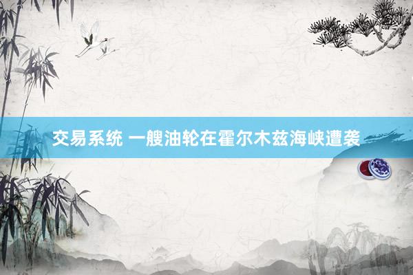 交易系统 一艘油轮在霍尔木兹海峡遭袭