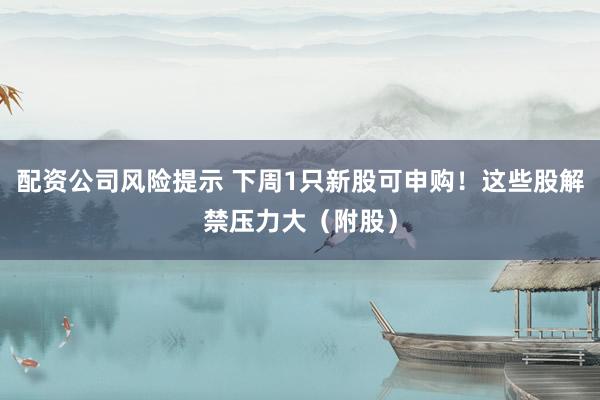 配资公司风险提示 下周1只新股可申购！这些股解禁压力大（附股）