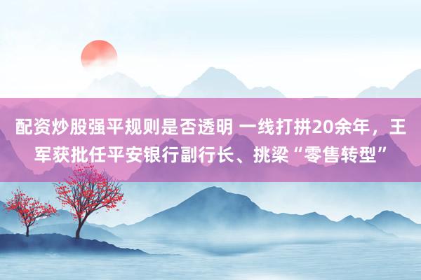 配资炒股强平规则是否透明 一线打拼20余年,王军获批任平安银行副行长、挑梁“零售转型”