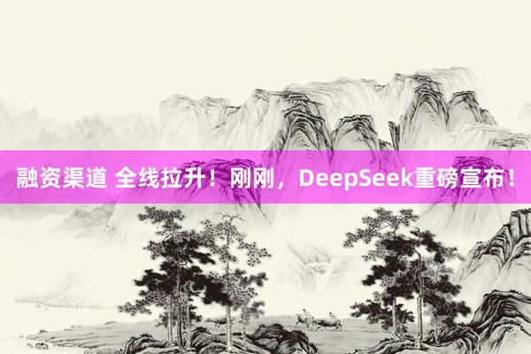 融资渠道 全线拉升！刚刚，DeepSeek重磅宣布！